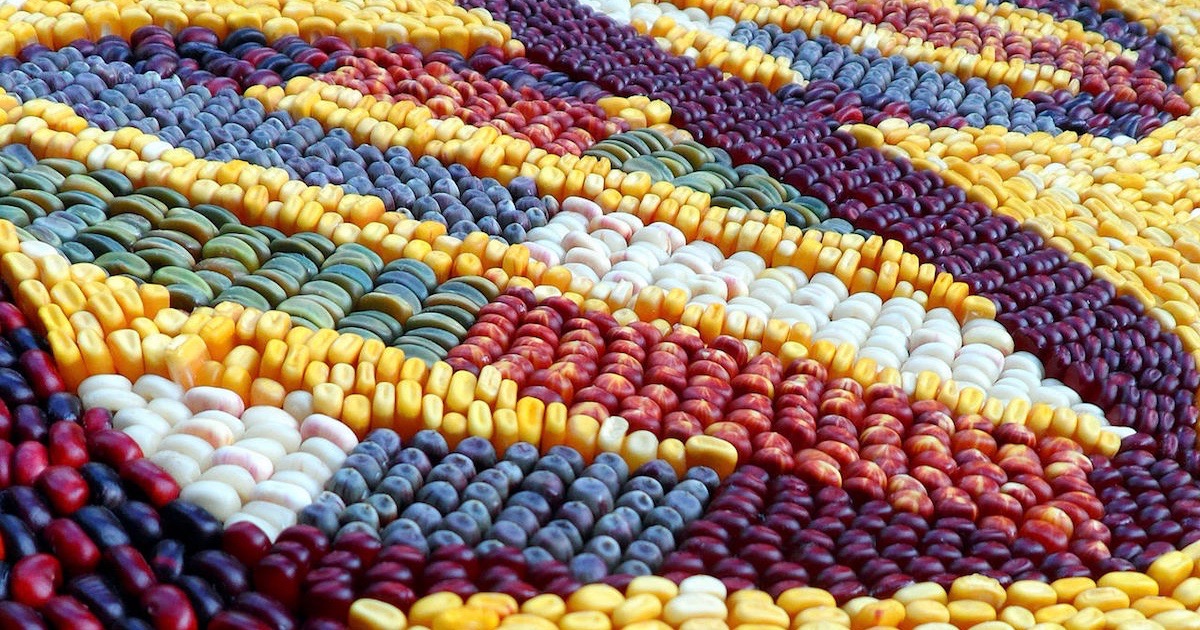 genetic codes