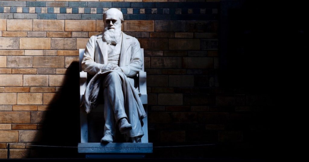 evolution education