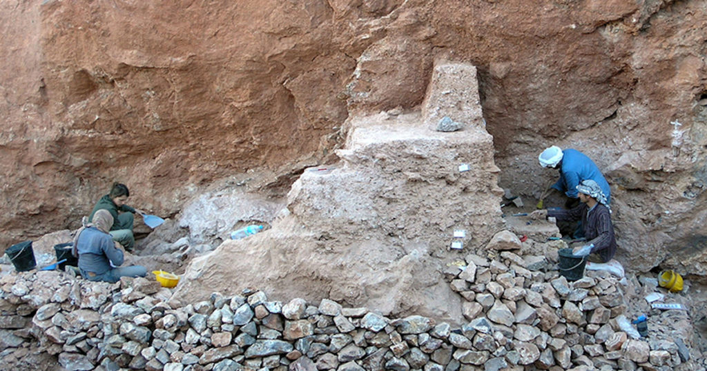 human origins