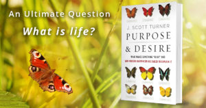 Scott Turner