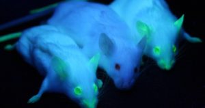 genetic engineering