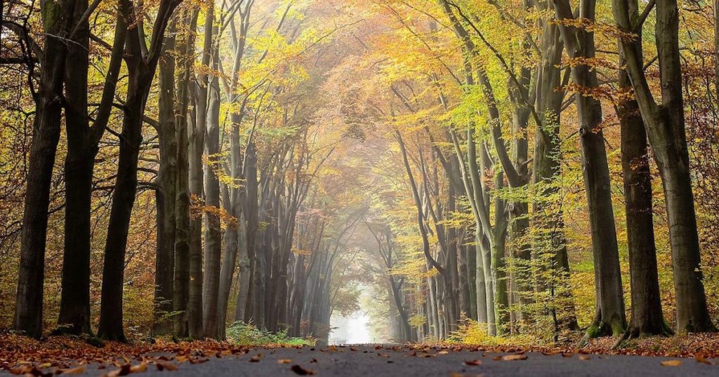 naturalism
