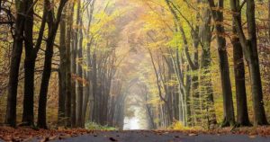 naturalism