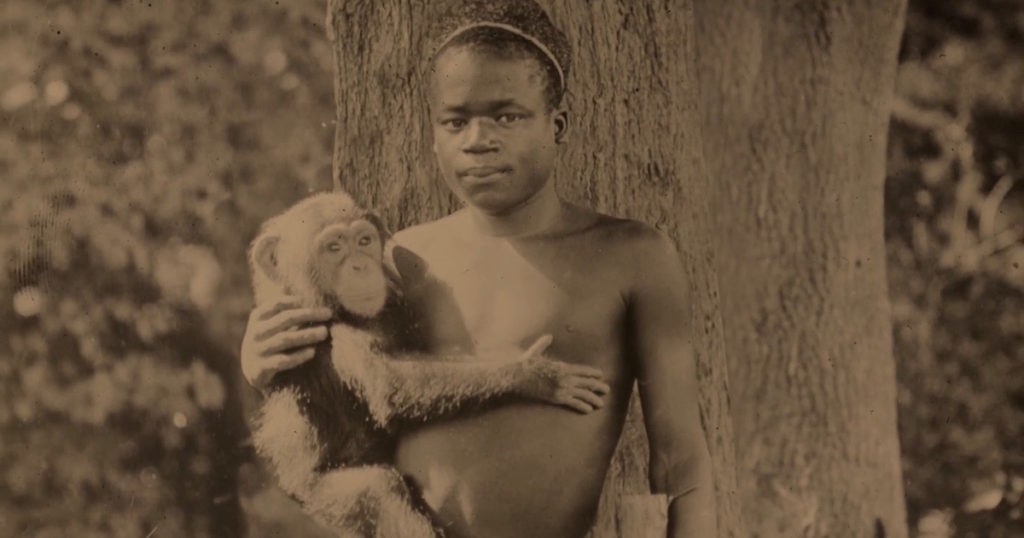 Human Zoos