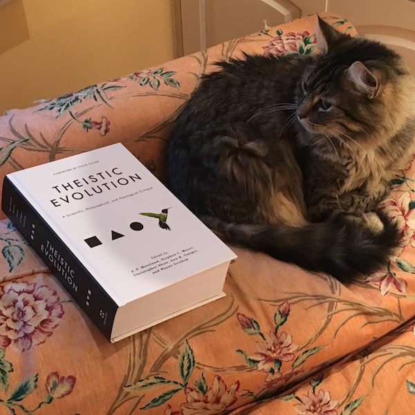 theistic evolution
