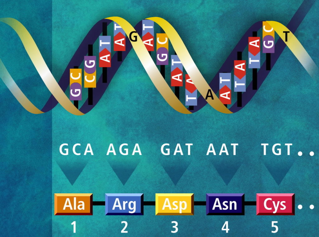 origin of life