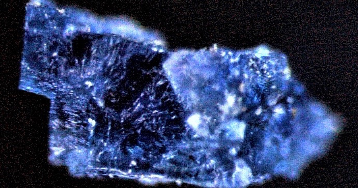 ingredients for life