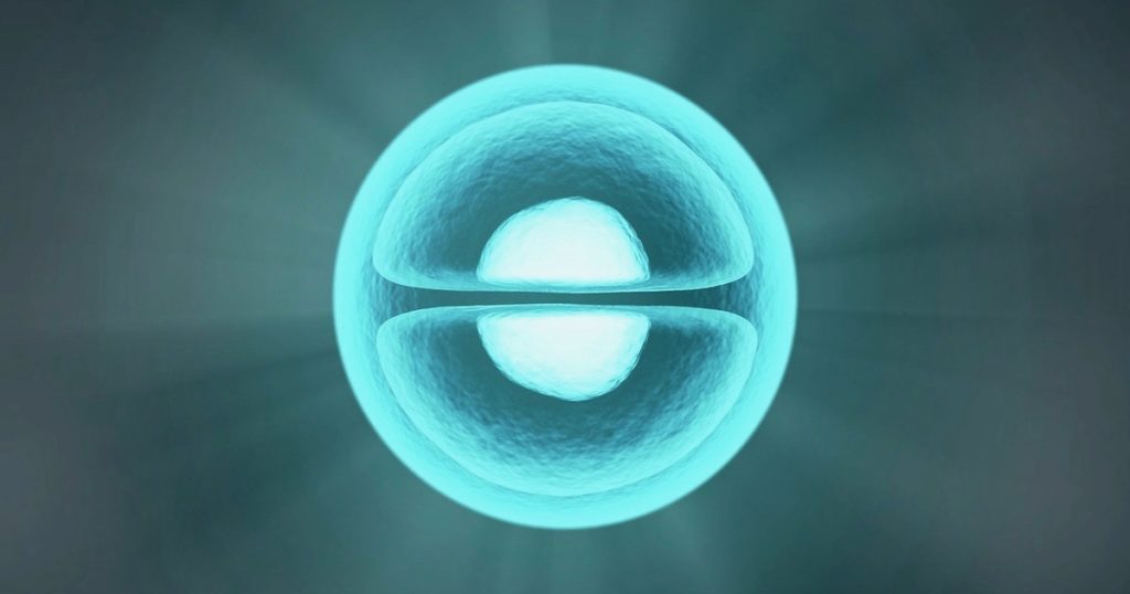 human cloning
