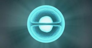 human cloning