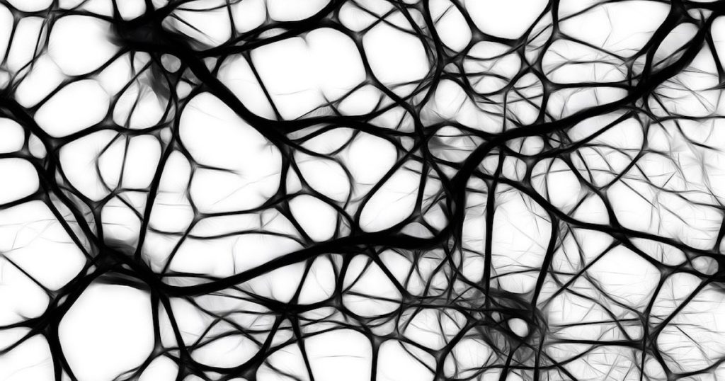 brain