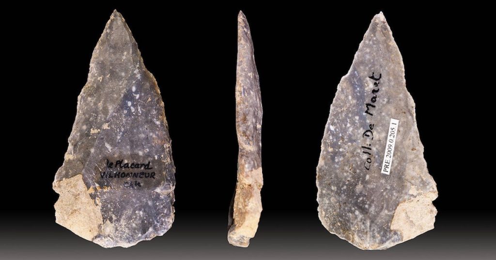 human origins