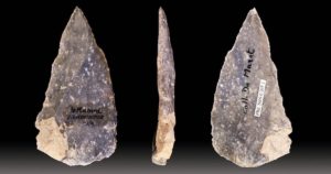 human origins