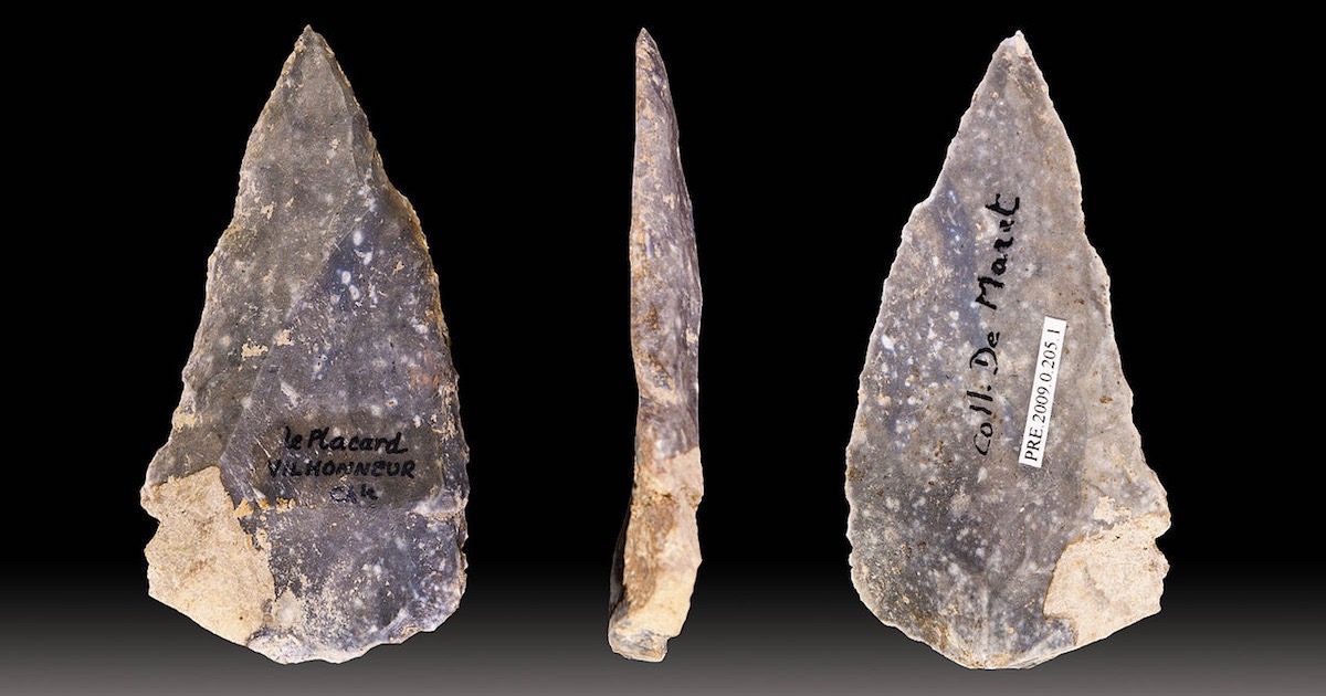 human origins