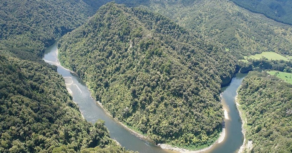 nature rights