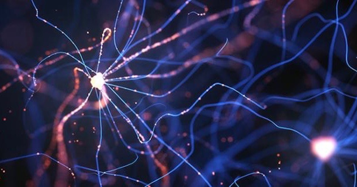 electric cell