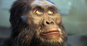 human origins