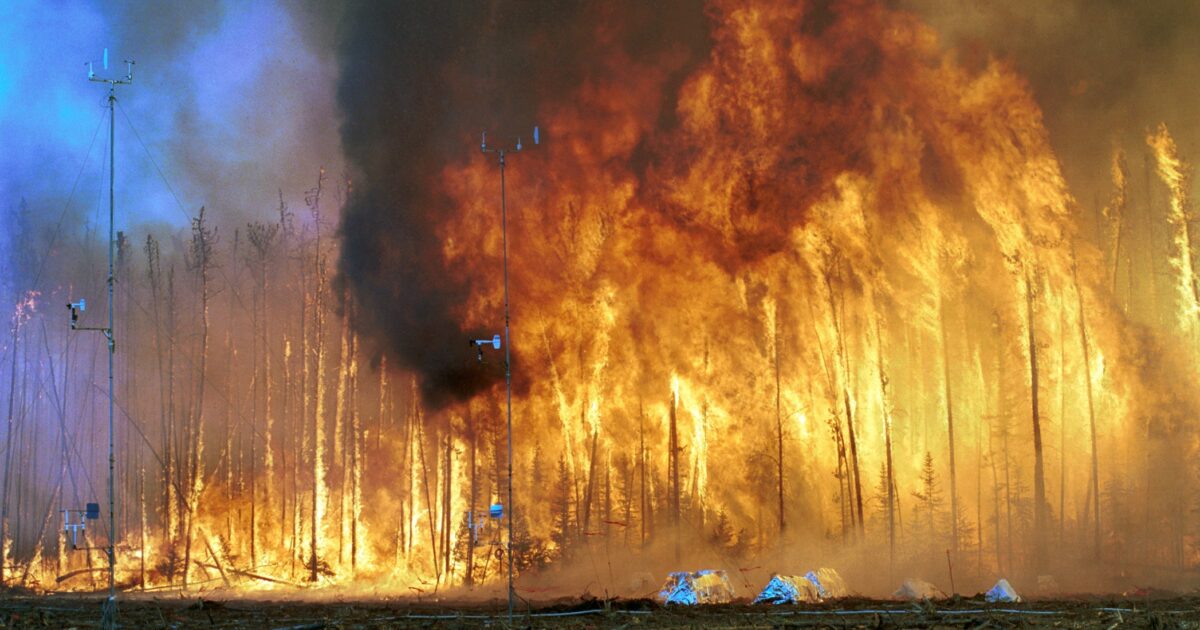Northwest Crown Fire Experiment