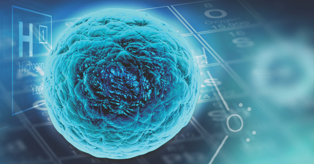 Miracle of the Cell