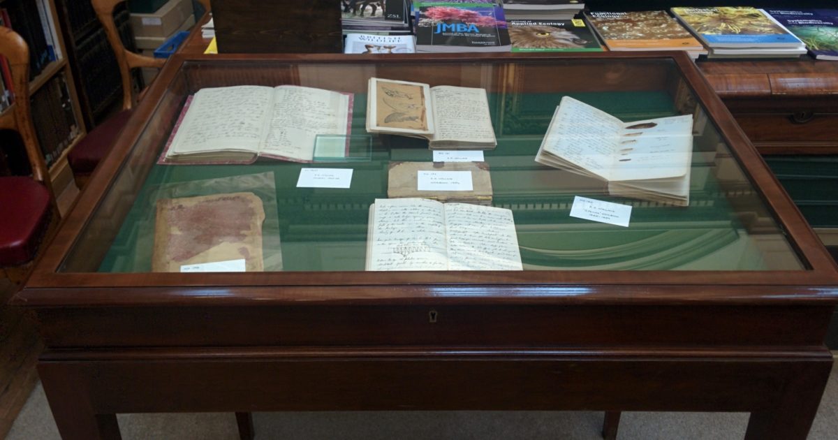 Wallace notebooks