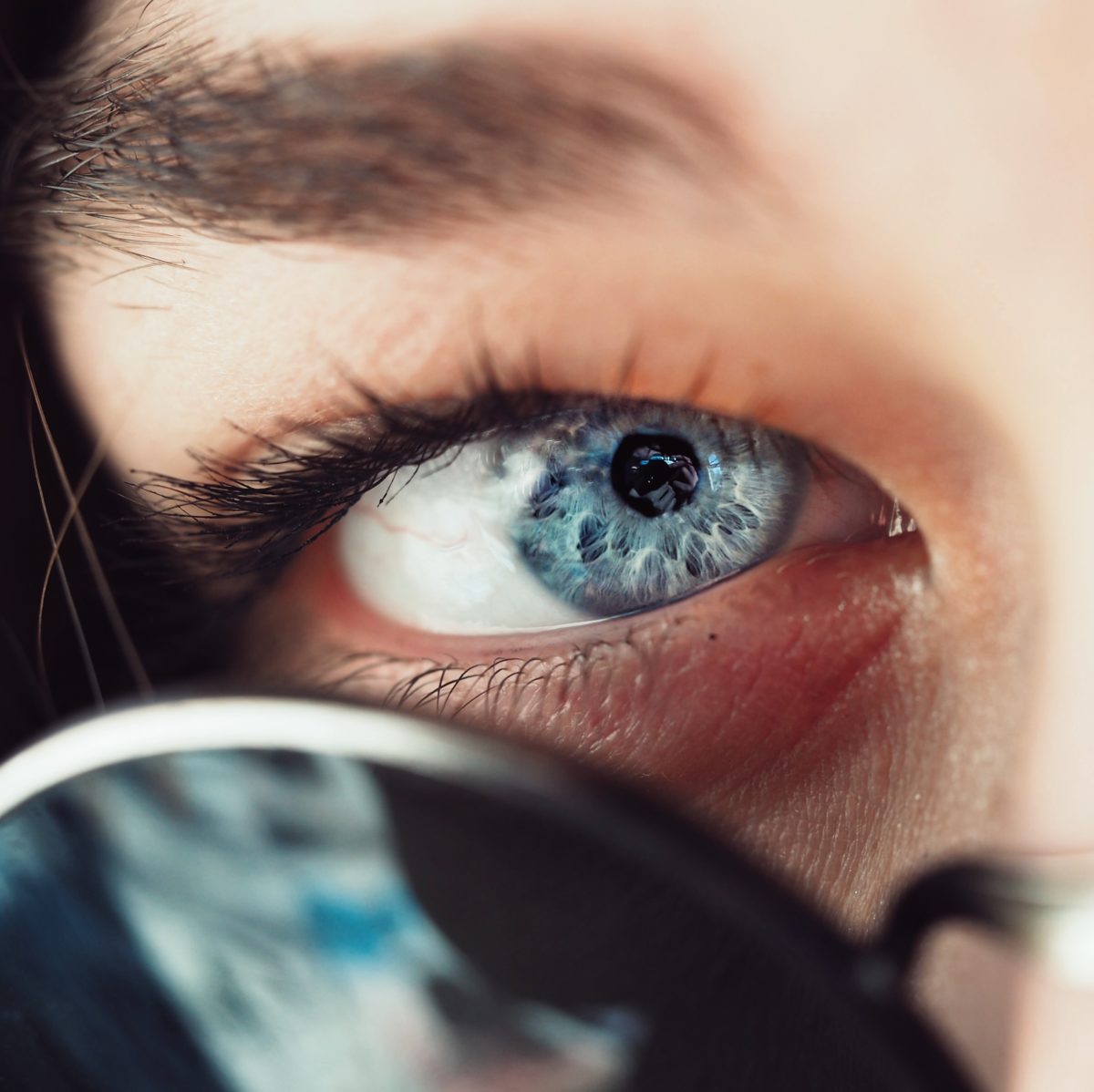 I had a great Wednesday and we roamed arround Vienna and I captured this interesting closeup :)