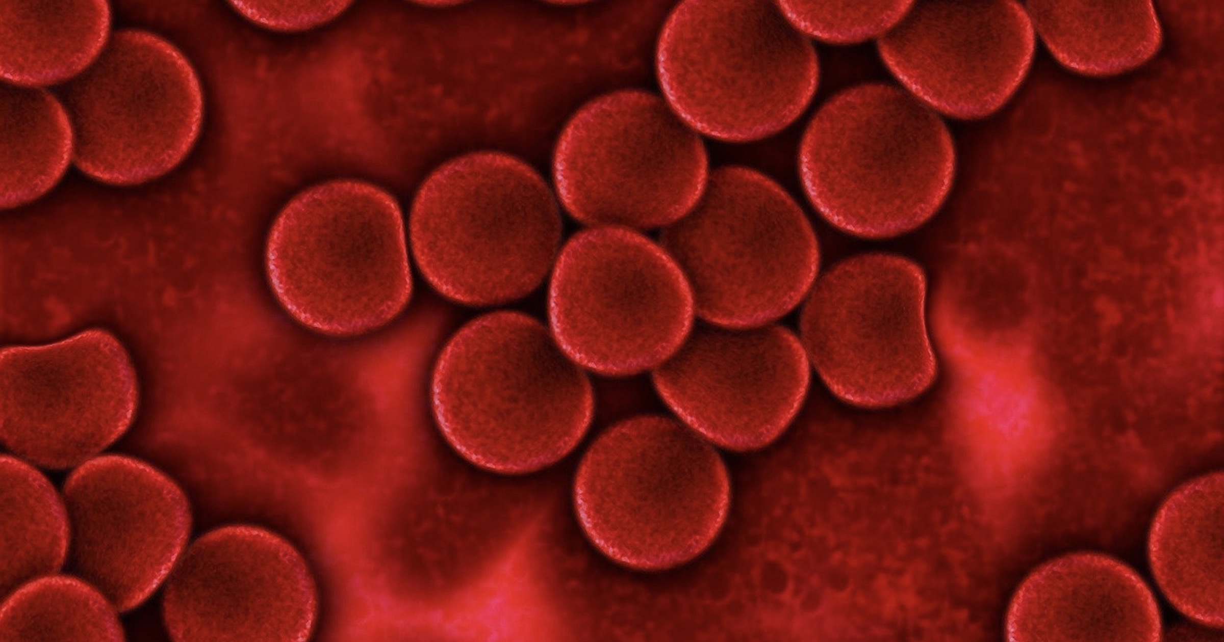 red blood cells