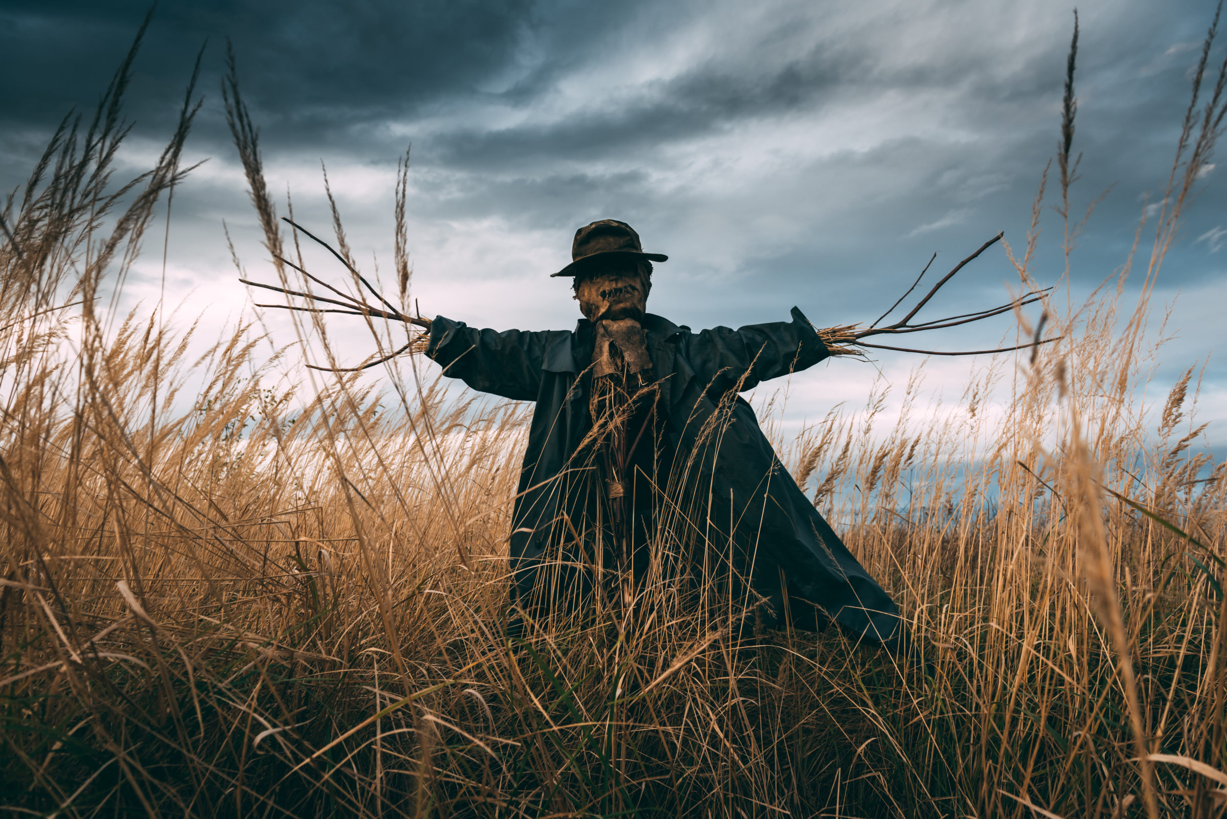 Scary scarecrow in a hat
