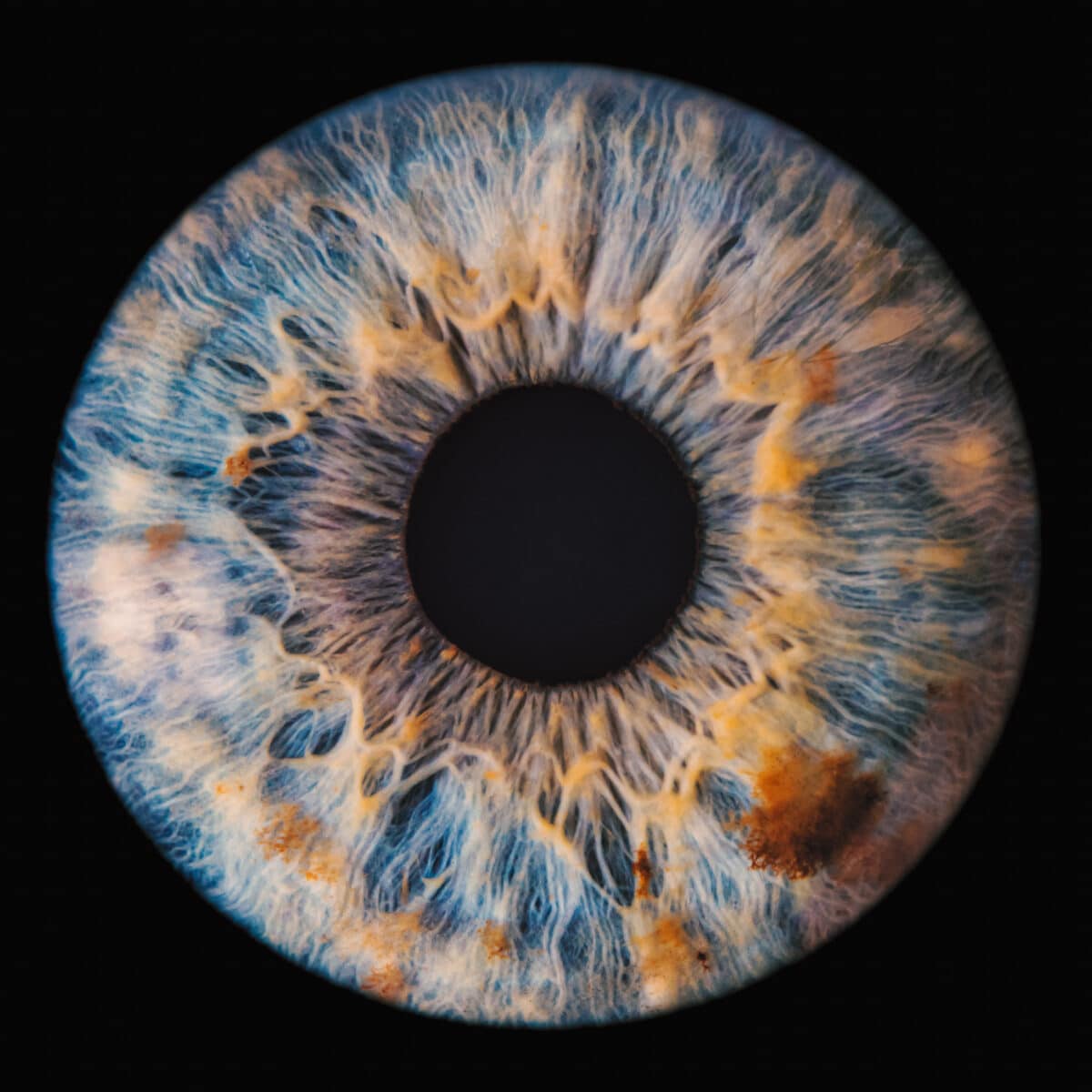 blue eye iris