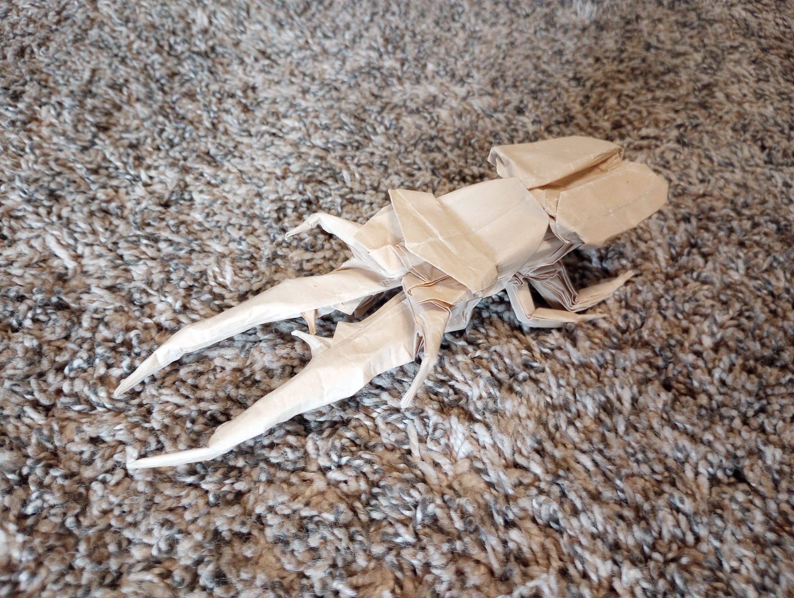 Lessons from Origami | Science and Culture Today