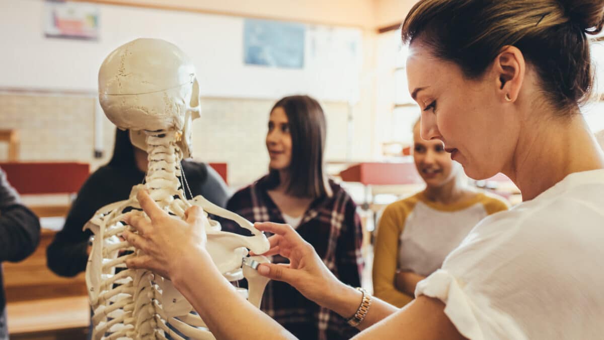 Teacher explaining the skeletal system to group of students