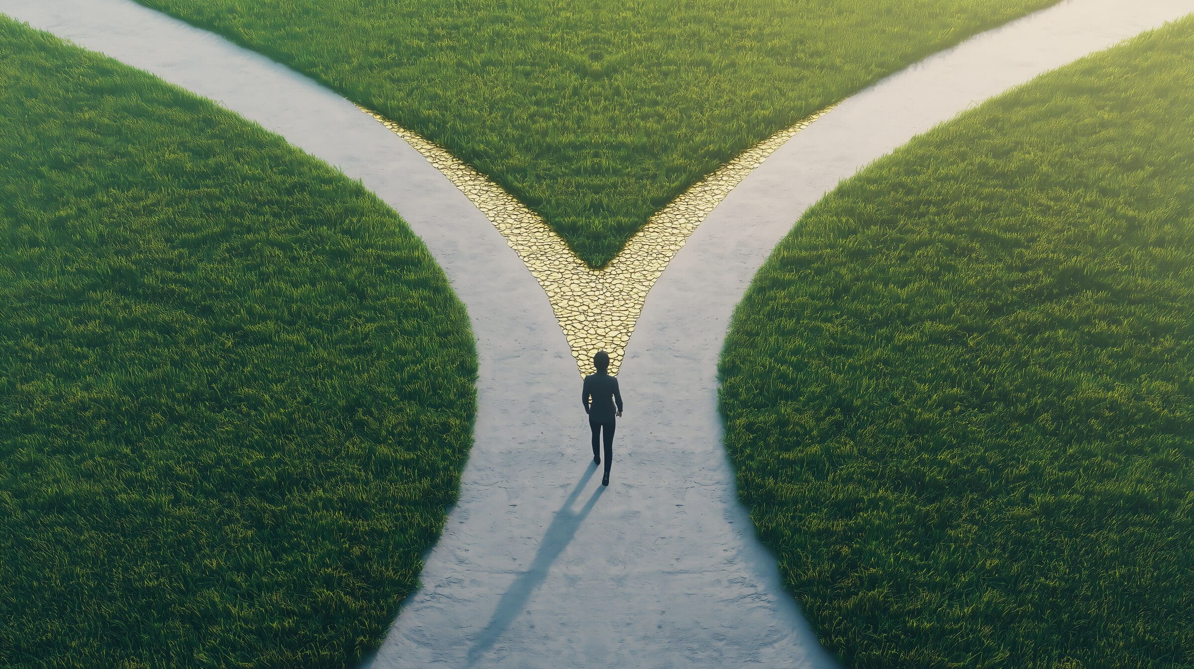A person walking on a road that splits into two paths one paved with gold and the other leading to an open field, symbolizing life choices, 3D render, deep shadows