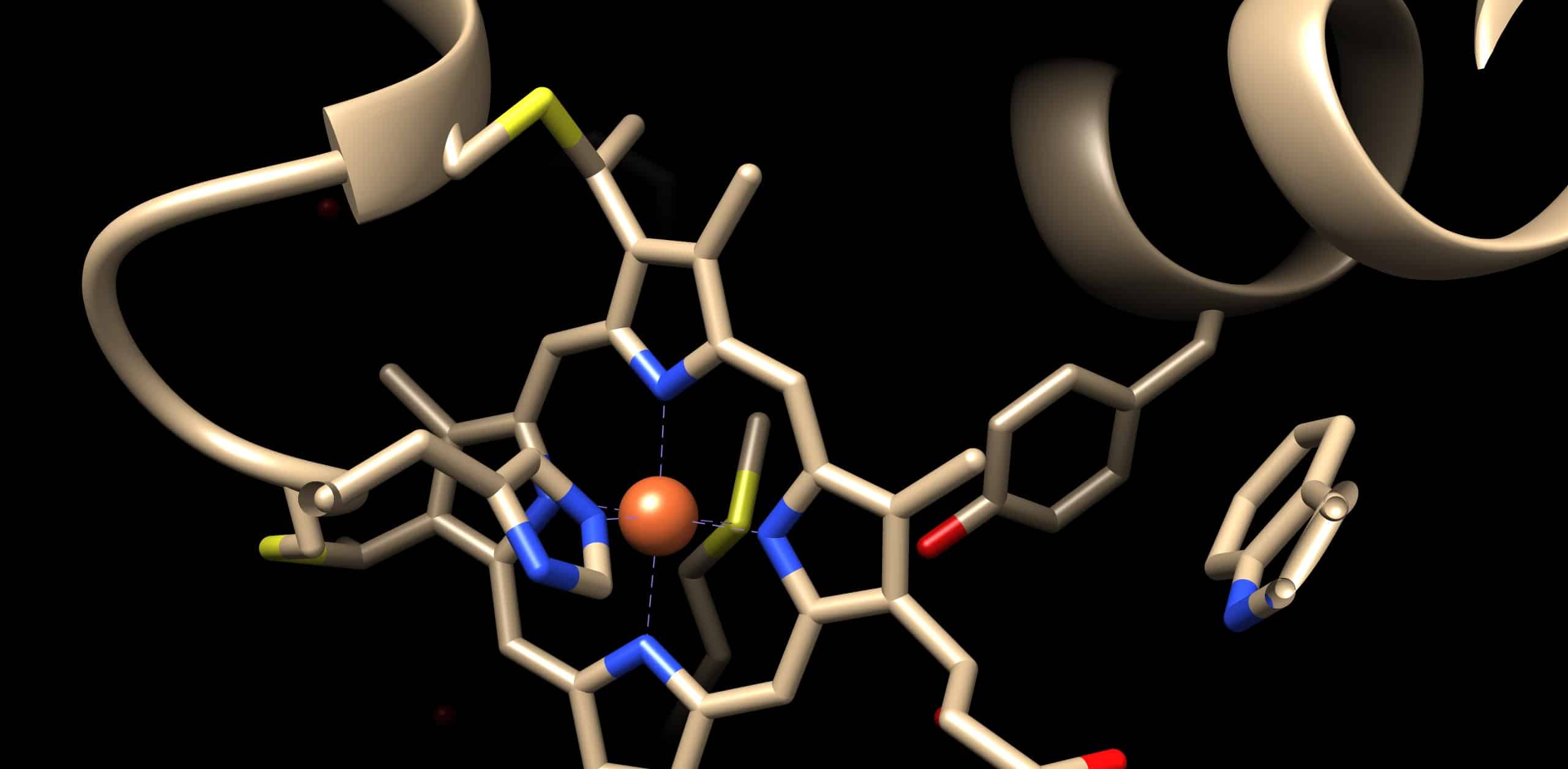 If Scientists Repurpose an Enzyme, Is It Intelligent Design?