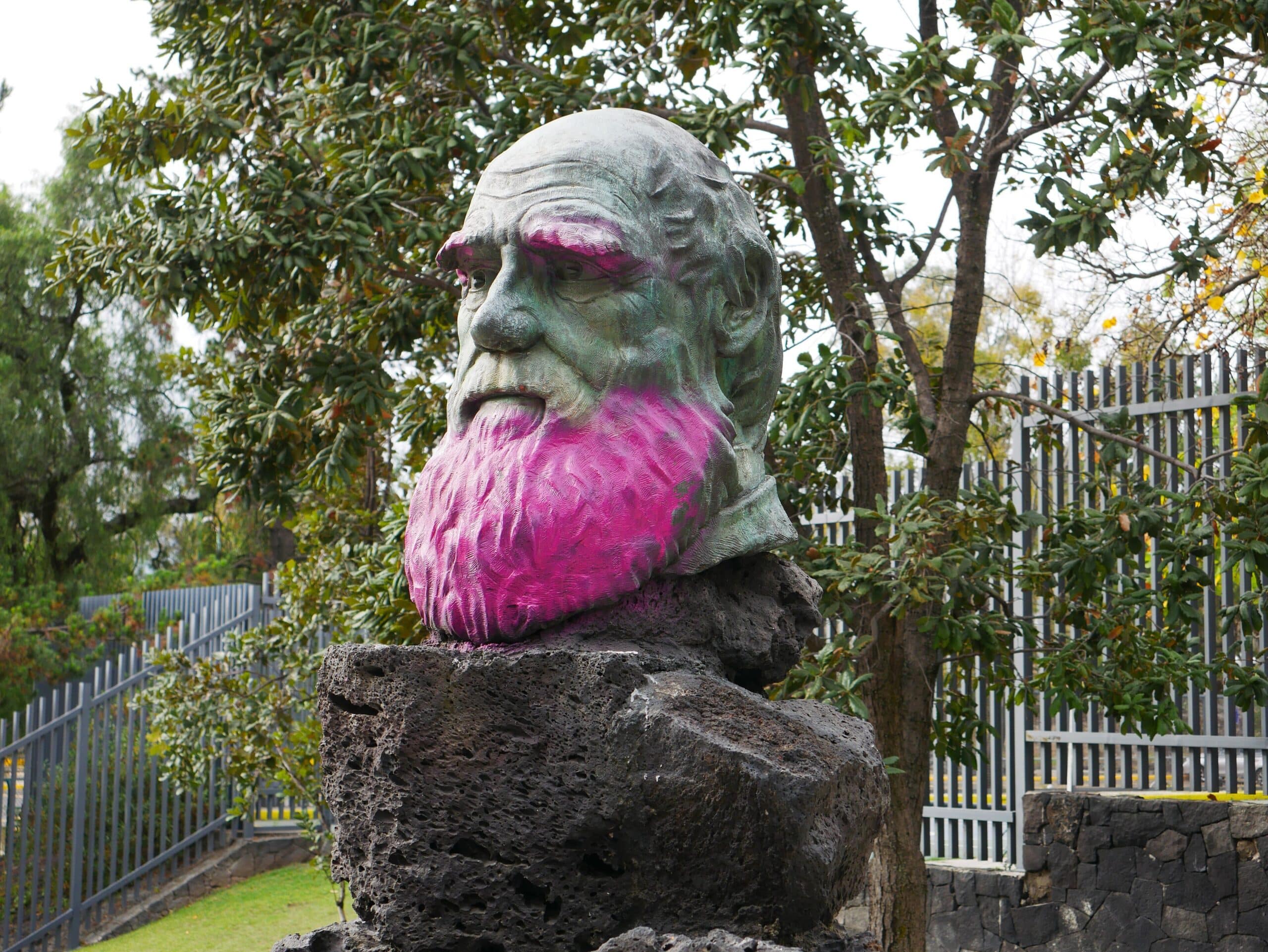 Witt: Darwinism and Its “Pernicious Cultural Implications”