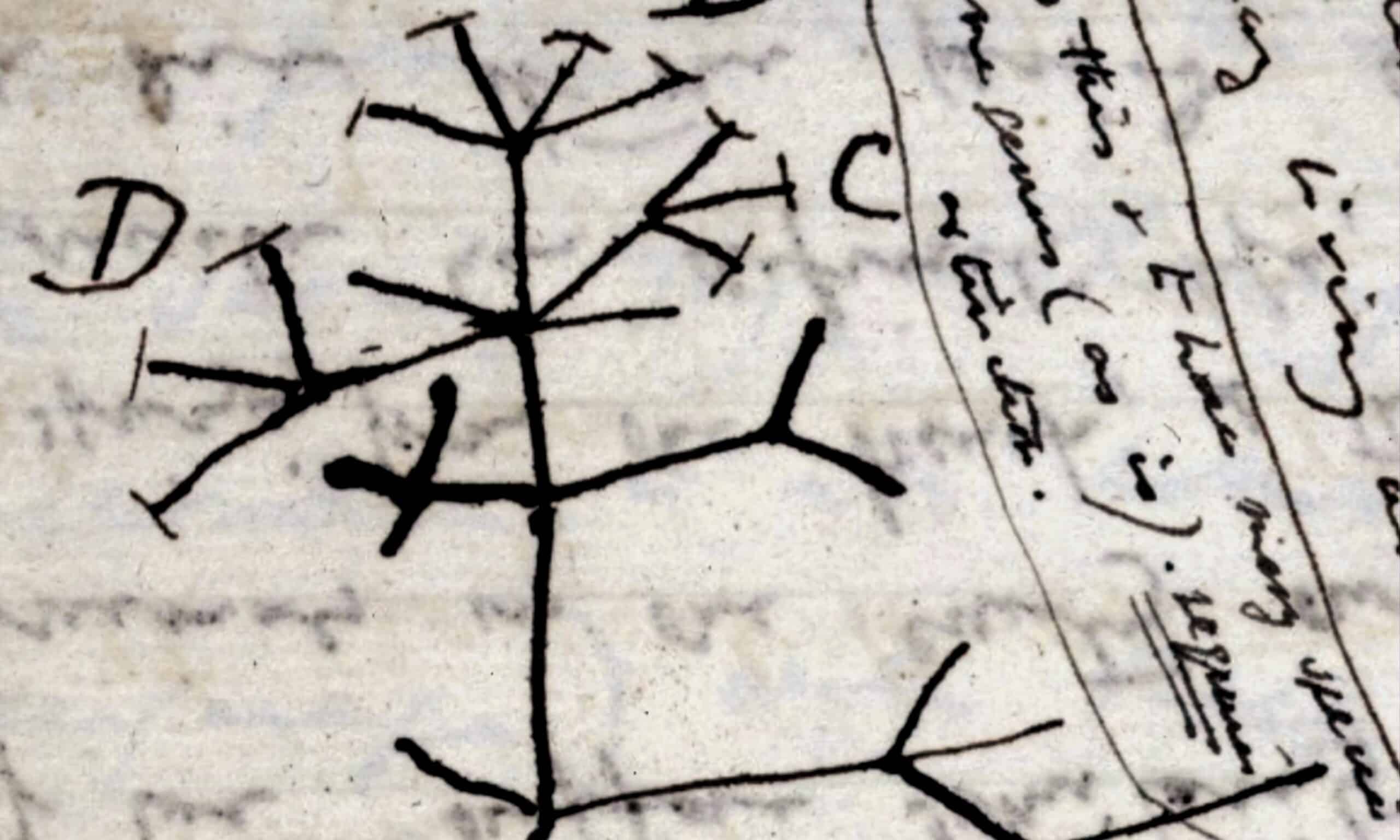 DarwinTree1837cropped-2-scaled.jpg