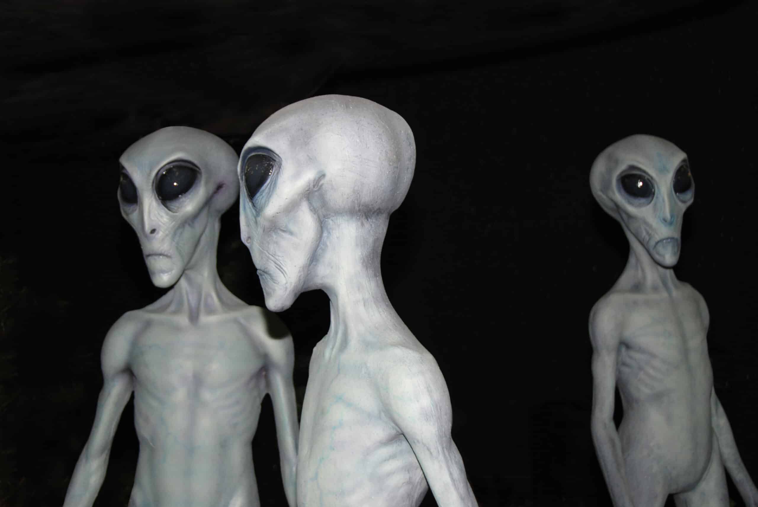 For Extraterrestrial Life, All Credit to a Creator