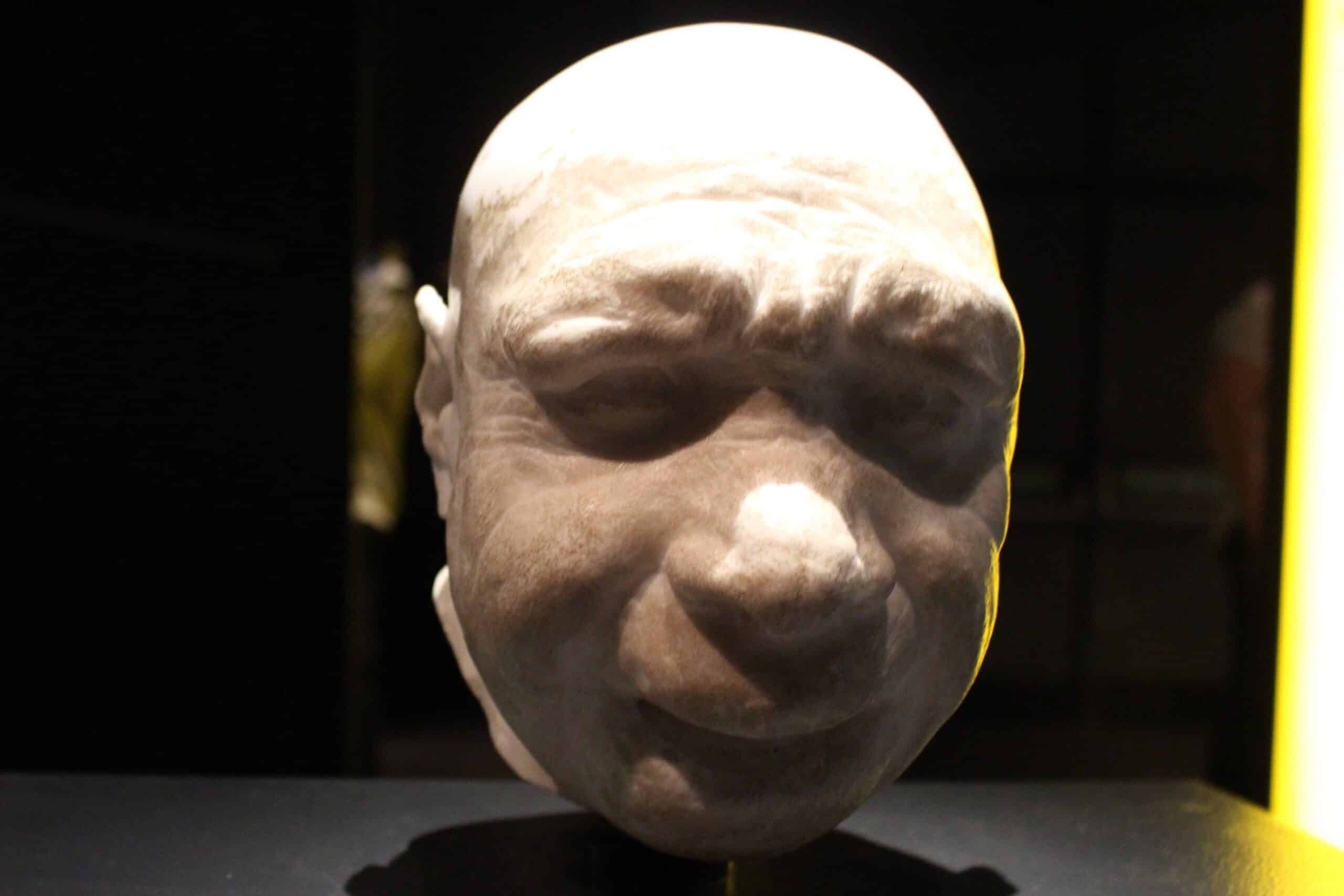 Get Smart: Neanderthals Progress from Brute to Beaut