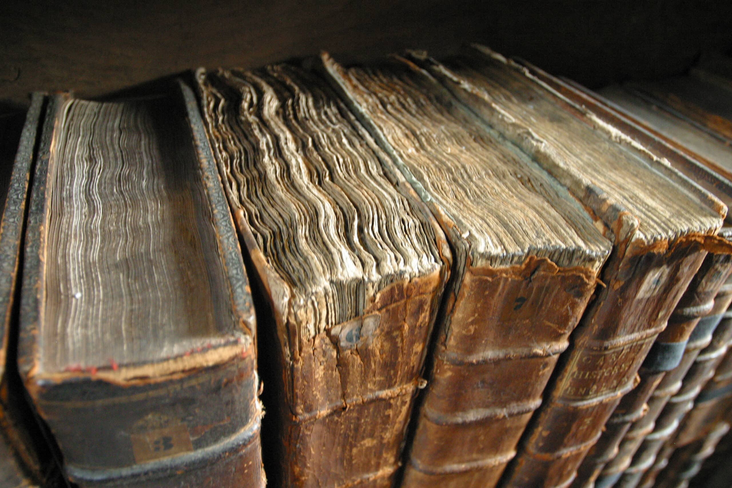 It's Time to Buy Old Books Before AI Destroys Them