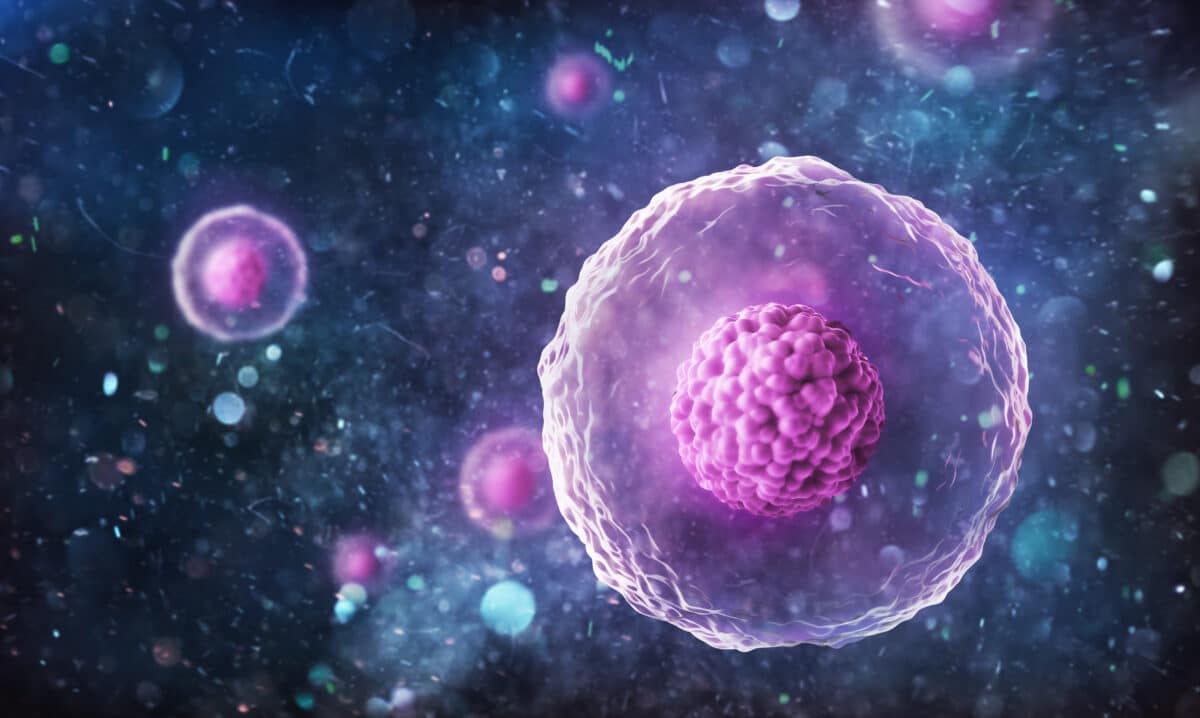 Human (animal) cell under microscope. 3d illustration