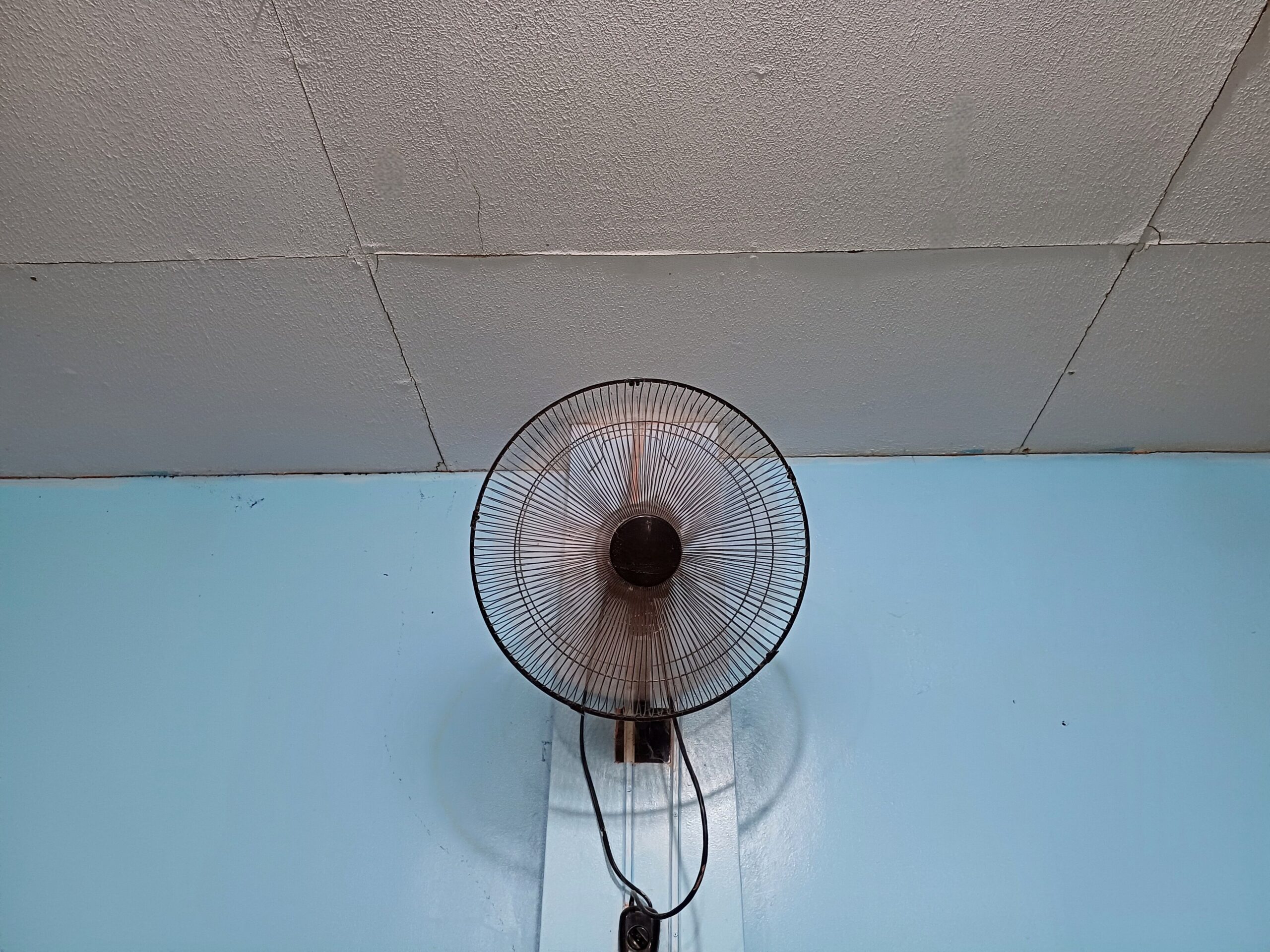Scholarship Hits the Fan: Designer Science Is Gone