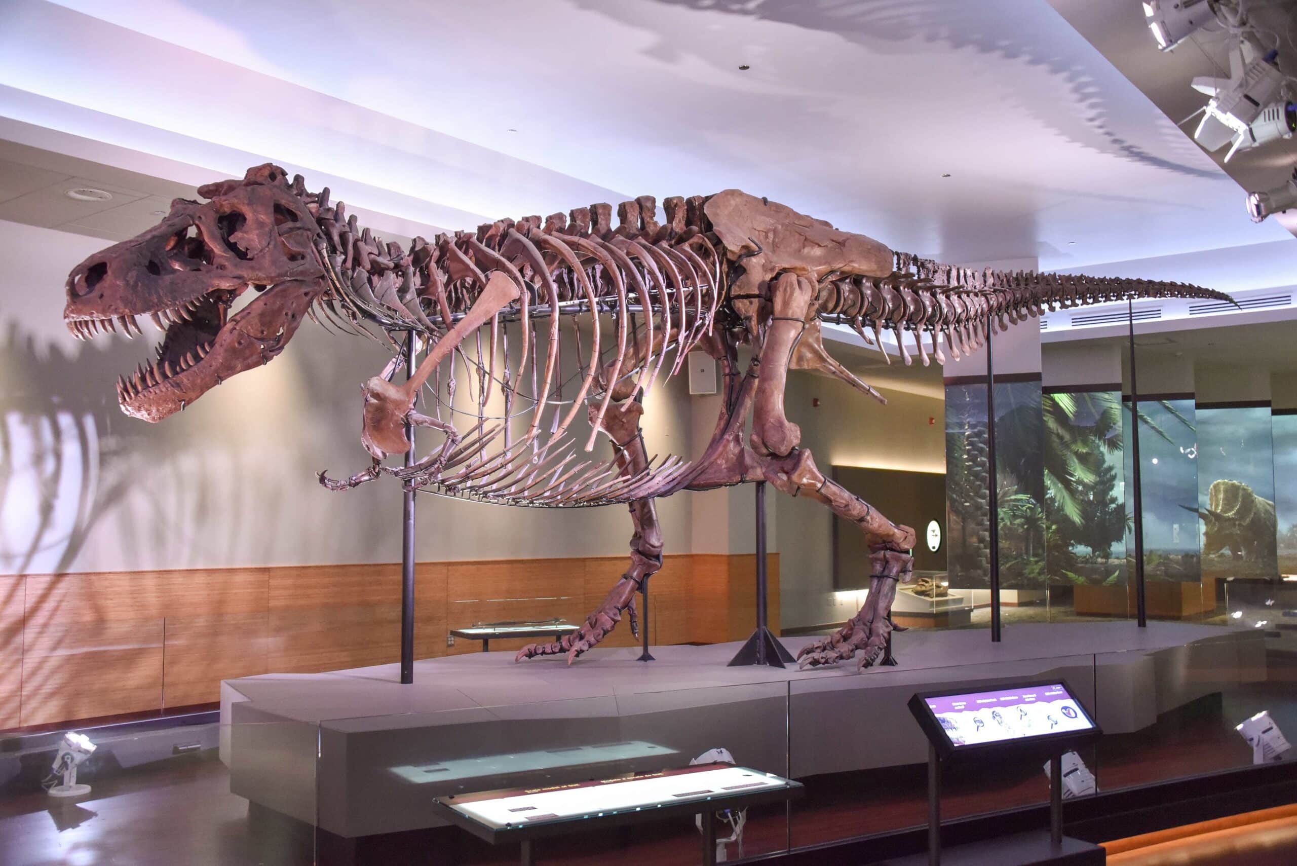 Dinos Meet Carl Sagan and a Marriage on the Rocks